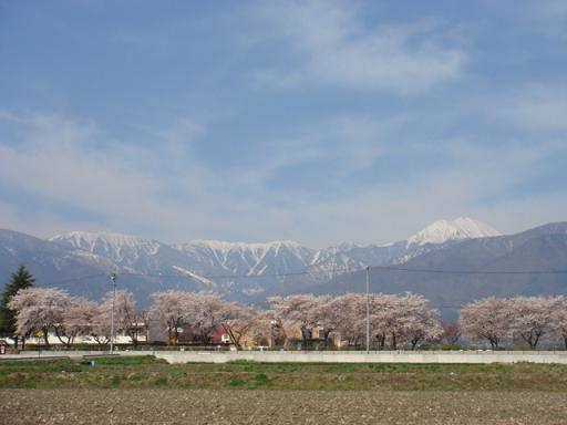 a0014840_2245181.jpg