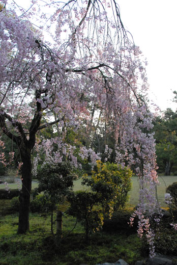 c0093046_65267.jpg