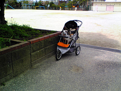e0106146_1156941.jpg