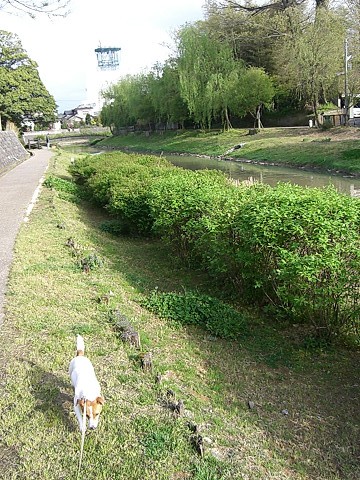 f0108553_17421271.jpg