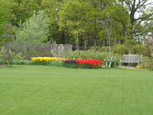 c0084268_745195.jpg