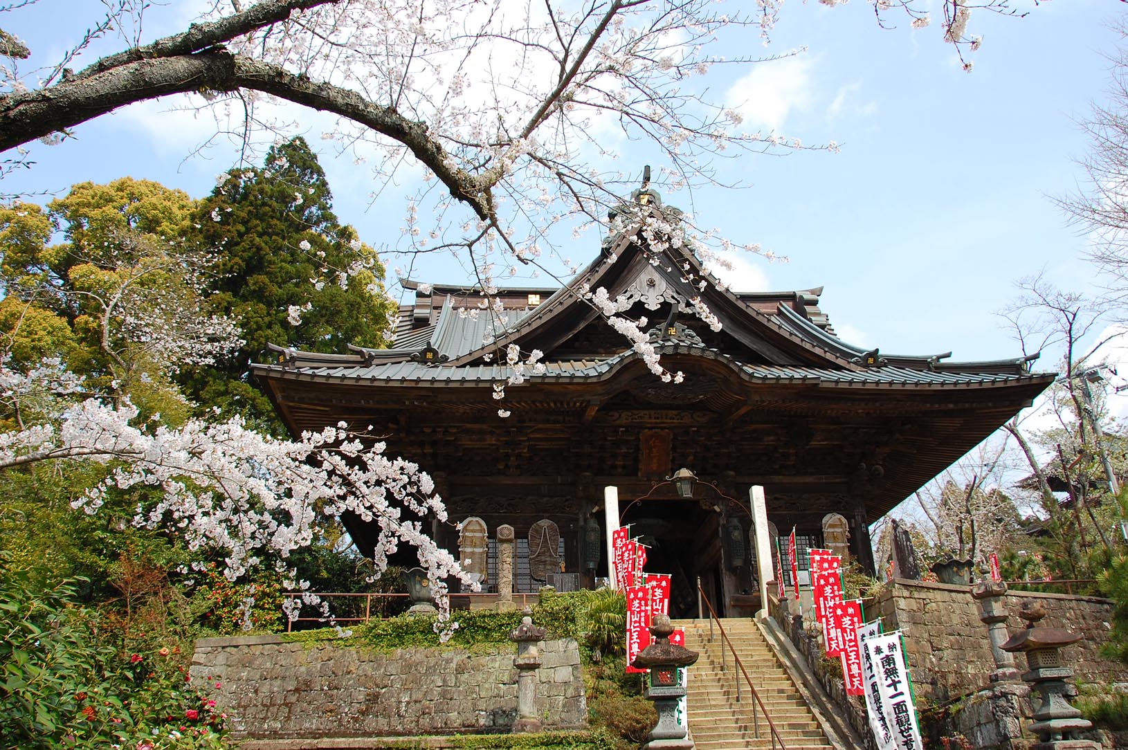 千葉県芝山町・芝山公園のこいのぼり_e0071178_1927950.jpg