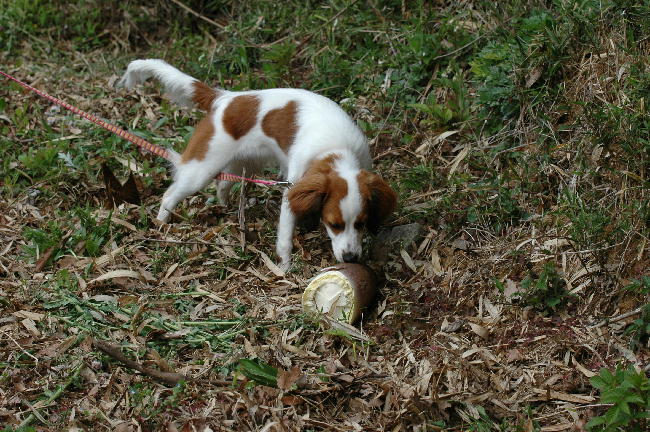 c0075585_2356258.jpg