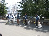 ガイドドッグオープンデー2007@北海道盲導犬協会_c0007388_10021.jpg