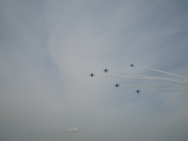 a0048197_1743398.jpg