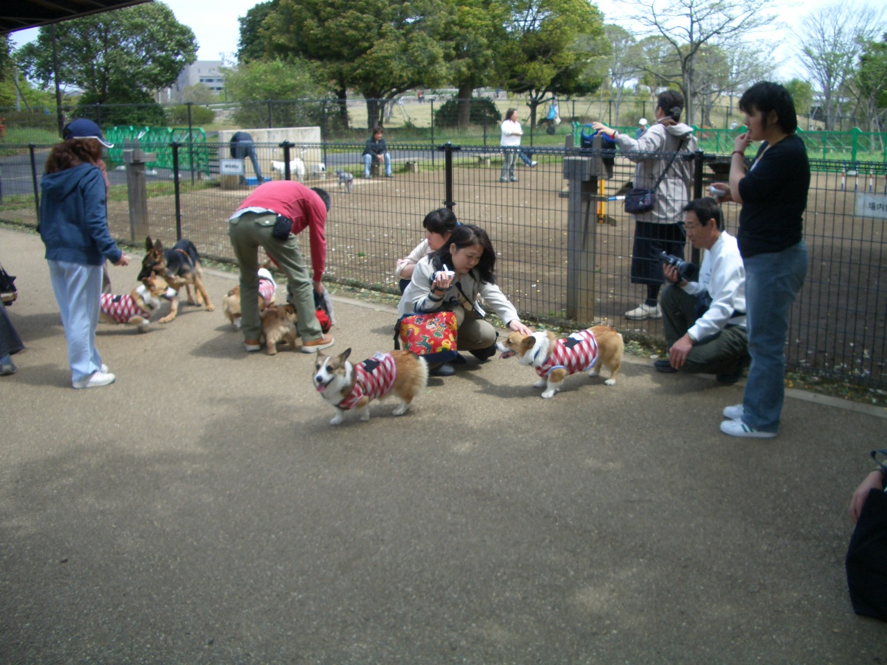 兄弟、従兄弟再会しました!!_f0101201_1153254.jpg