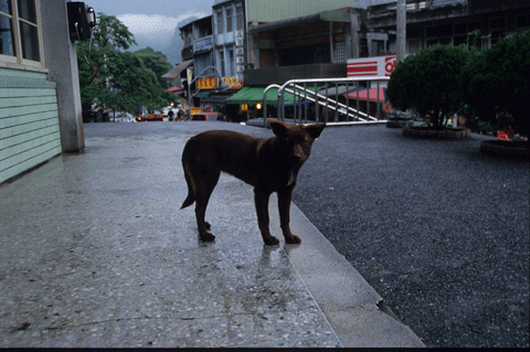 a0094711_0135565.gif