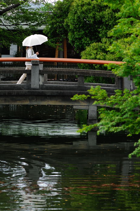 雨の日徒然なるままに・・・・・。_f0032011_21162526.jpg