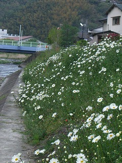 a0087818_1891764.jpg