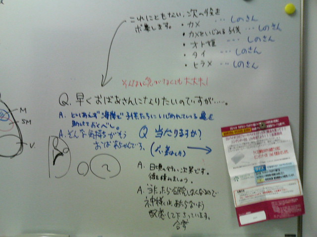 MORIHIMEホームページリニューアル!_d0028322_1545536.jpg