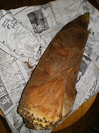 e0108126_14383992.jpg