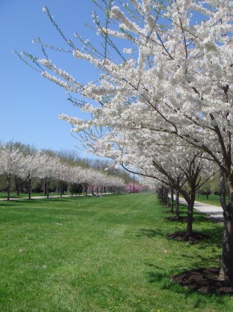 e0096340_41858.jpg