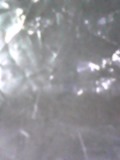 d0007957_021409.jpg