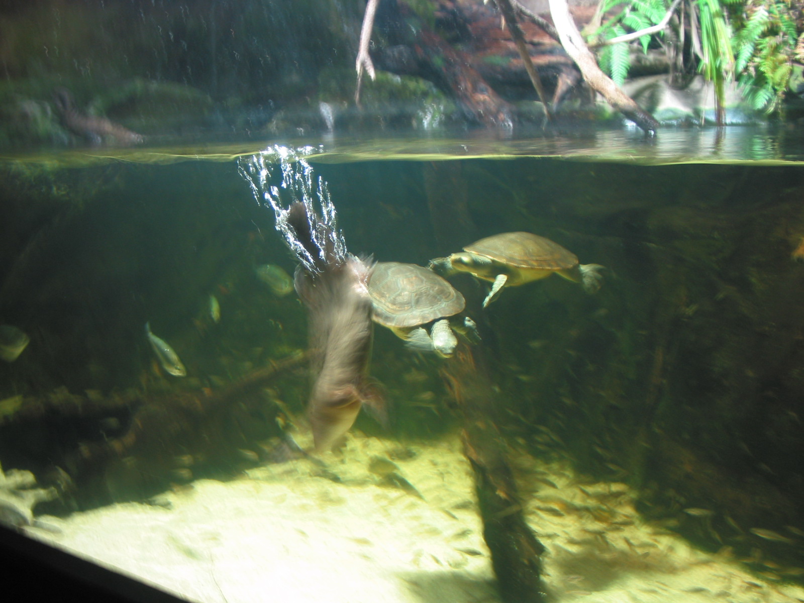 f0071657_1810087.jpg