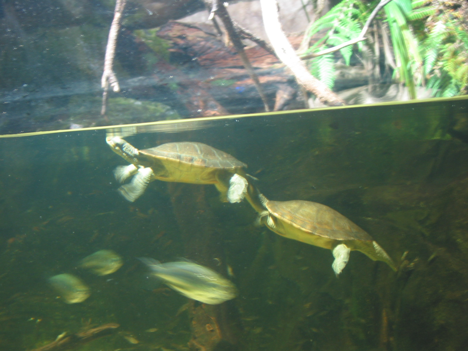 f0071657_1893086.jpg