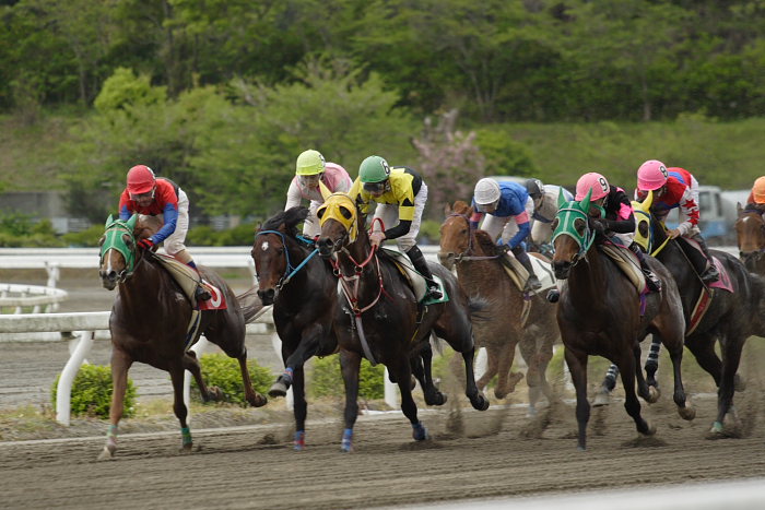2007年4月21日（土） 高知競馬 11R_a0077663_20263975.jpg