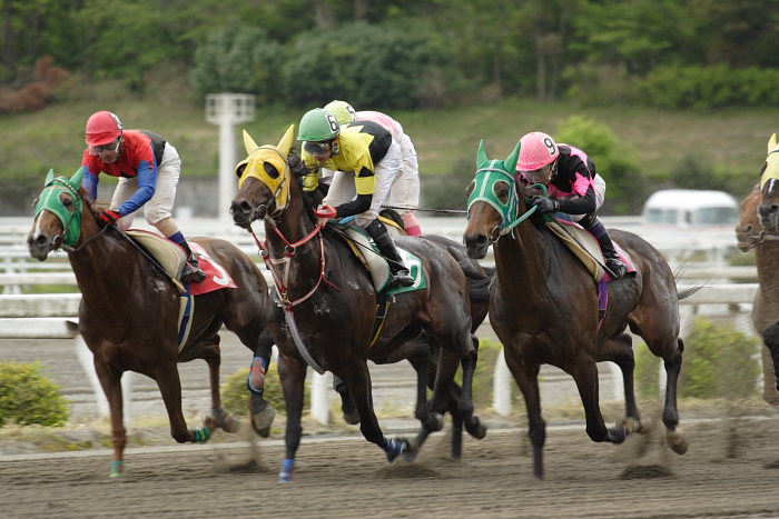 2007年4月21日(土) 高知競馬 11R_a0077663_20264855.jpg