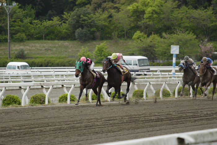 2007年4月21日(土) 高知競馬 11R_a0077663_20265864.jpg