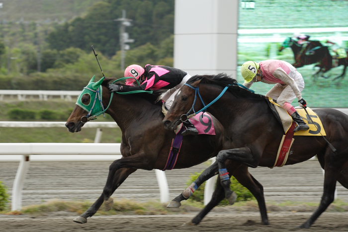 2007年4月21日(土) 高知競馬 11R_a0077663_20271653.jpg