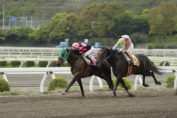 2007年4月21日（土） 高知競馬 11R_a0077663_202788.jpg