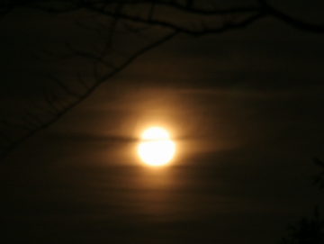 a0009666_702391.jpg