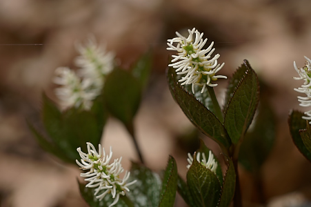 e0054067_1112282.jpg