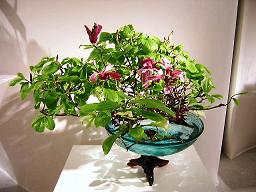 f0051177_22201391.jpg