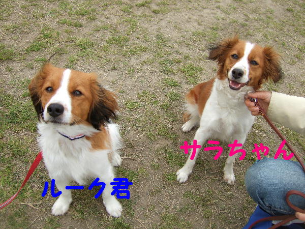 c0075585_7333179.jpg