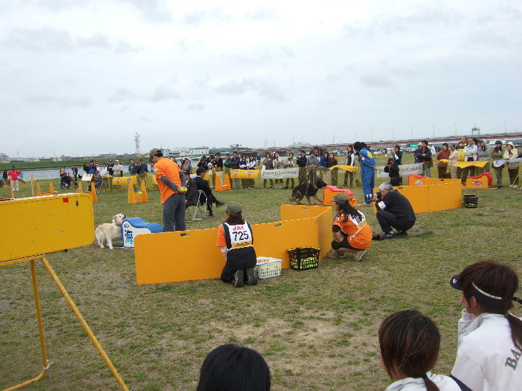 c0075585_755335.jpg