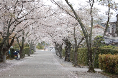 b0100489_2128336.jpg