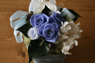 d0100192_21104382.gif