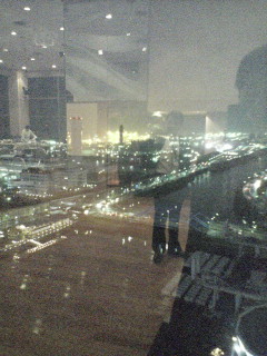 東京へ外出。天王洲アイルって?_d0092901_033486.jpg