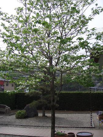 a0046305_235343.jpg