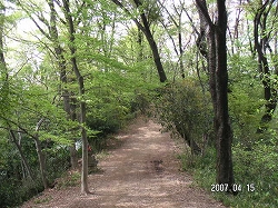 d0013610_1323187.jpg