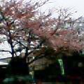 b0035611_20444288.jpg