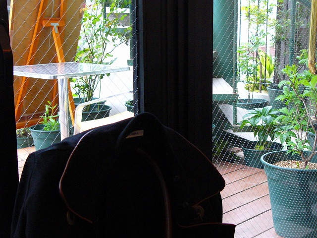 d0094416_617133.jpg