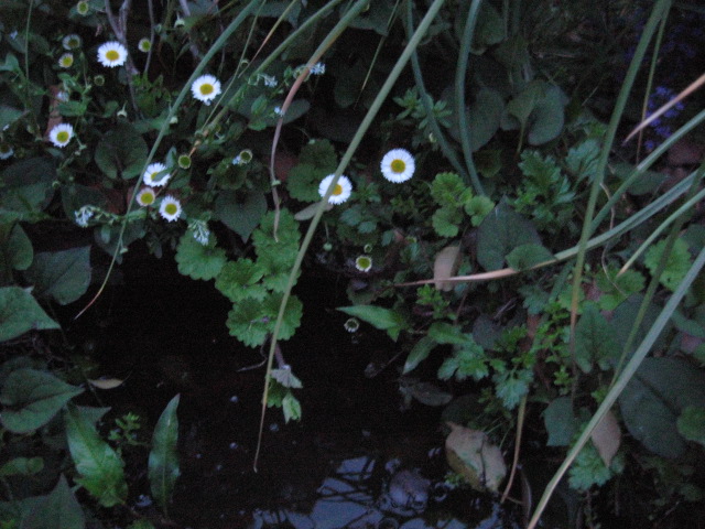 f0128316_922450.jpg