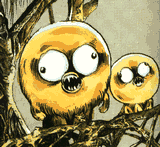 f0008935_1603225.gif