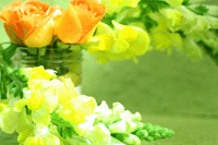 f0134642_19253680.gif