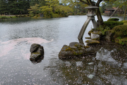 c0093046_8271970.jpg