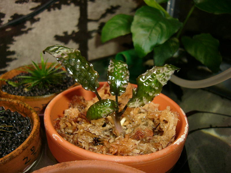 f0096947_21504153.jpg
