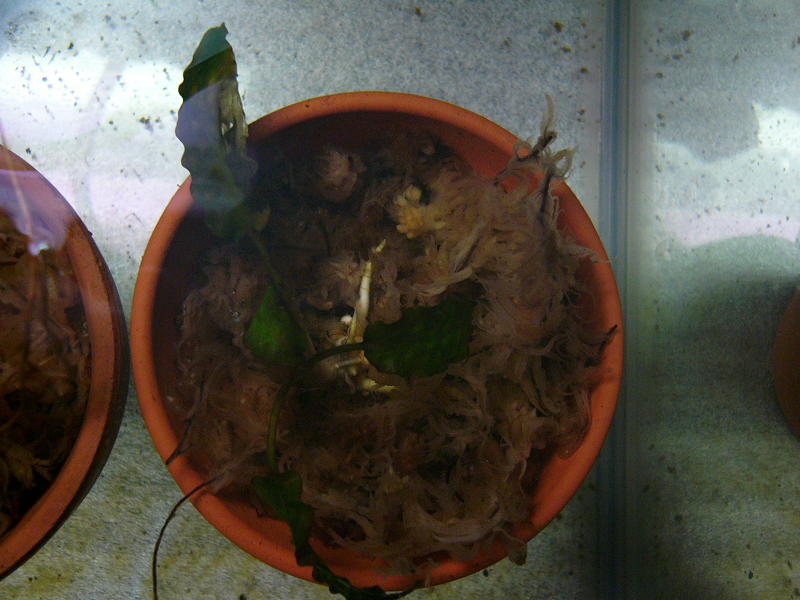 f0096947_21575591.jpg