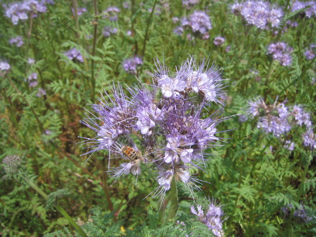 a0027555_7214710.jpg