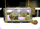e0009760_13243218.gif