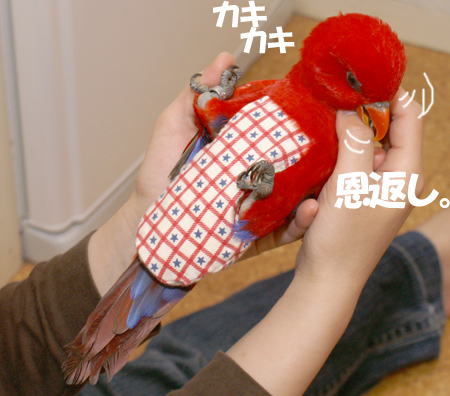 c0004078_8173181.jpg