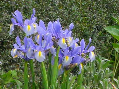 c0078480_0294100.jpg