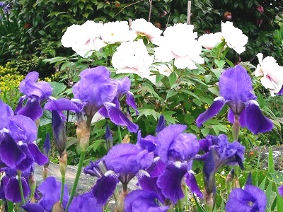 c0078480_15091.jpg