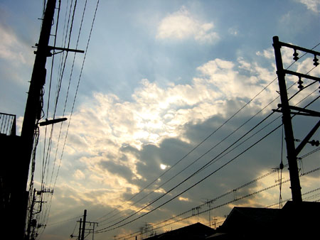 b0015885_53732.jpg