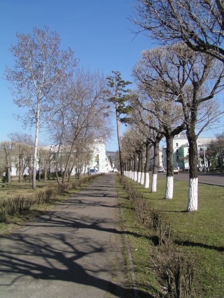 d0021786_9354660.jpg
