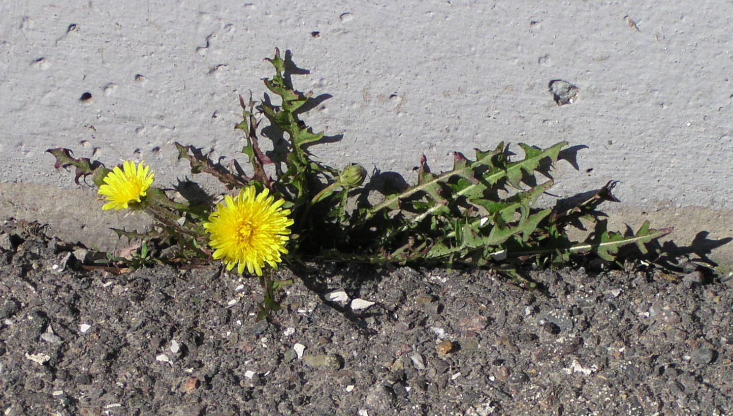 d0021786_9371617.jpg